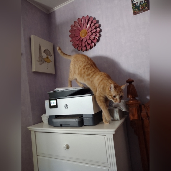 YOU could looks this fabulous too! - Picture 11 of 12